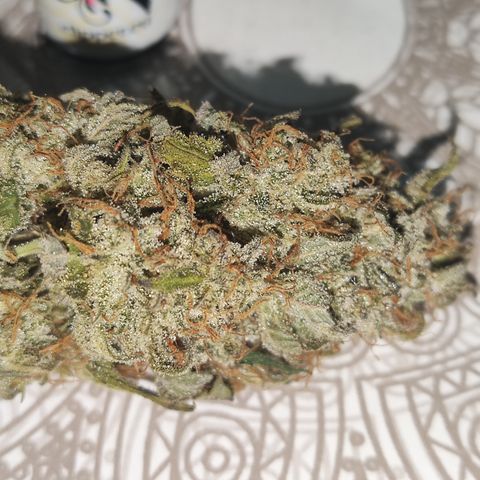 Syrup  growlog timeline photo