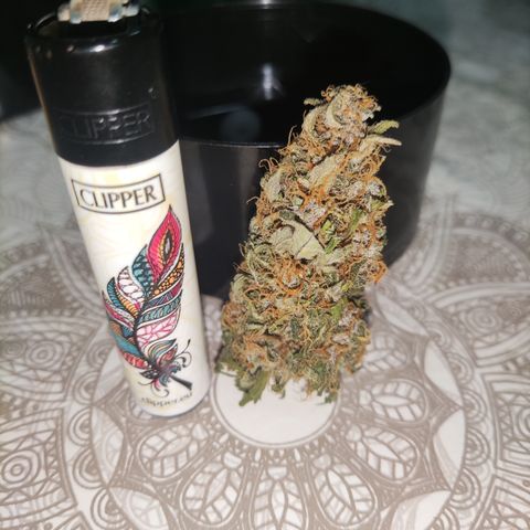 Ak auto tgb growlog timeline photo