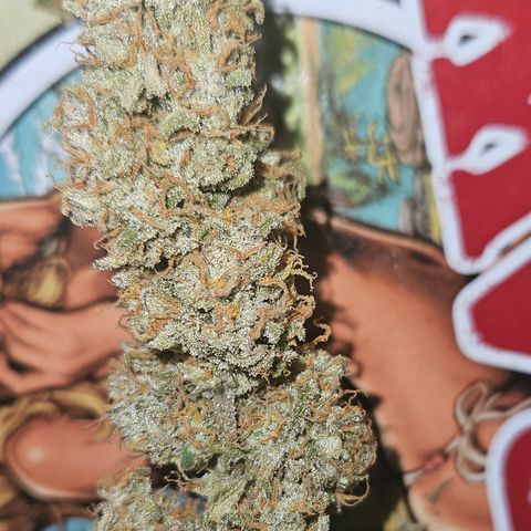 Strawberry Banana Auto growlog timeline photo