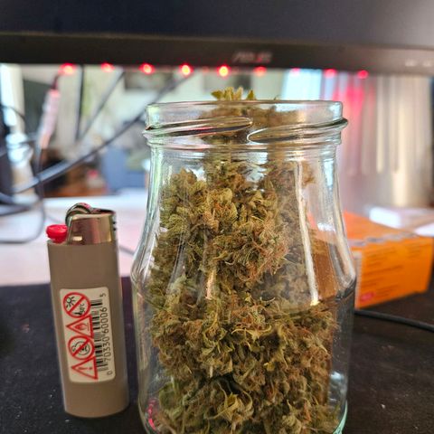 PICATCHU growlog photo: Fermentieren 