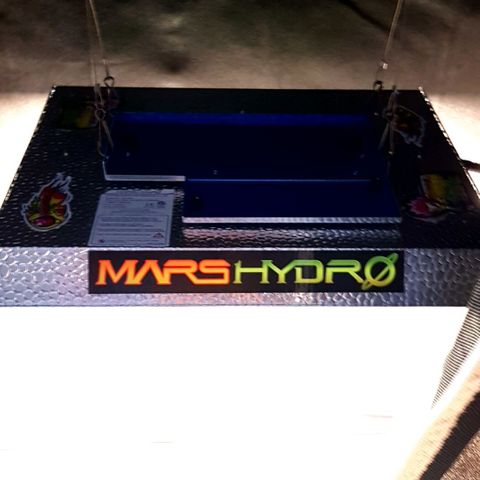 N13 Kush #1 - 9.2 w/f growlog photo: Upgraded lights Hydro Mars ~150w~ Ts 1000