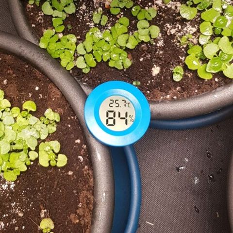 N13 Kush #1 - 9.2 w/f growlog timeline photo