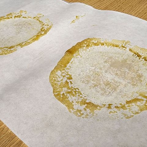 Orange Sherbet Auto growlog timeline photo