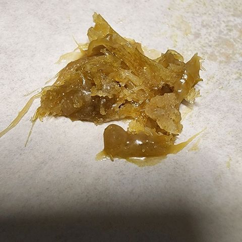 Orange Sherbet Auto growlog timeline photo