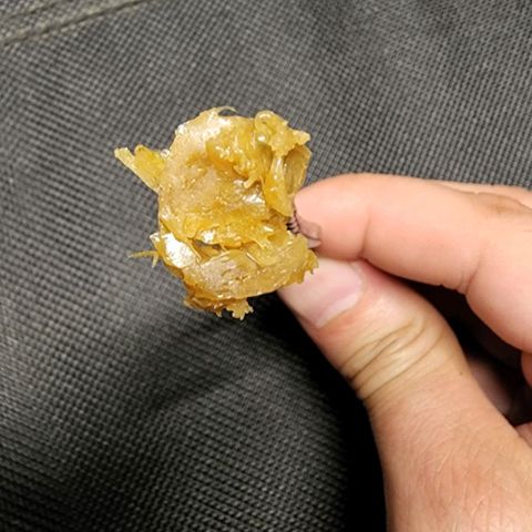 Orange Sherbet Auto growlog timeline photo