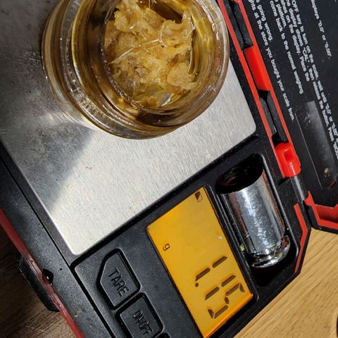 Orange Sherbet Auto growlog timeline photo