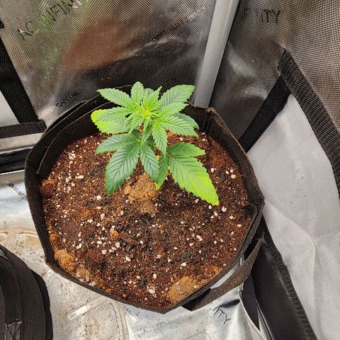 Ricky growlog timeline photo