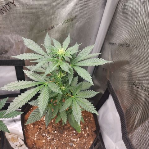 Ricky growlog timeline photo