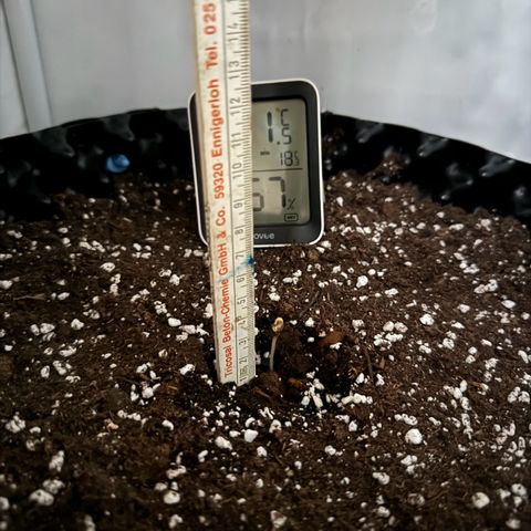 Gamora - Die 1. growlog timeline photo