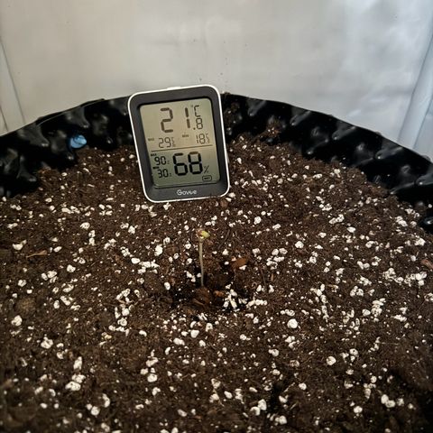 Gamora - Die 1. growlog timeline photo