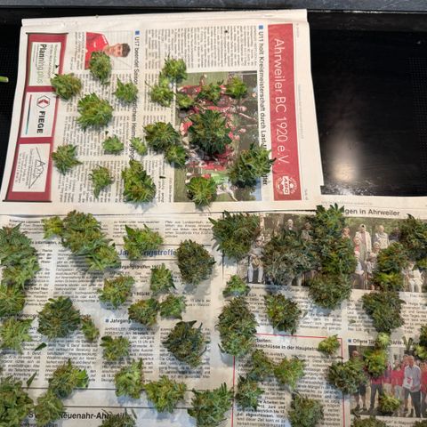 Gamora - Die 1. growlog timeline photo