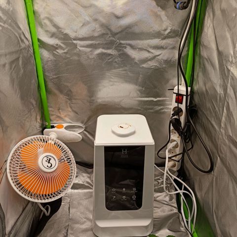 Retard Blue Cheese Automatic growlog timeline photo