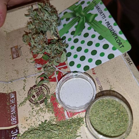 Retard Blue Cheese Automatic growlog timeline photo