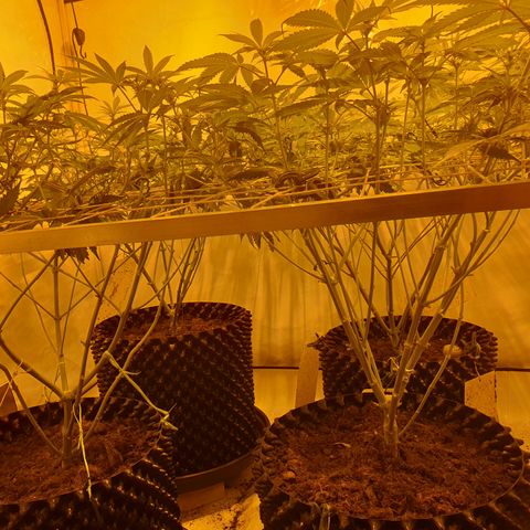 Rainbow road  growlog timeline photo