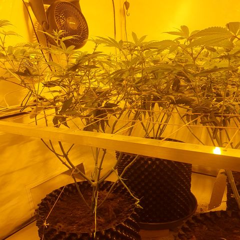 Rainbow road  growlog timeline photo