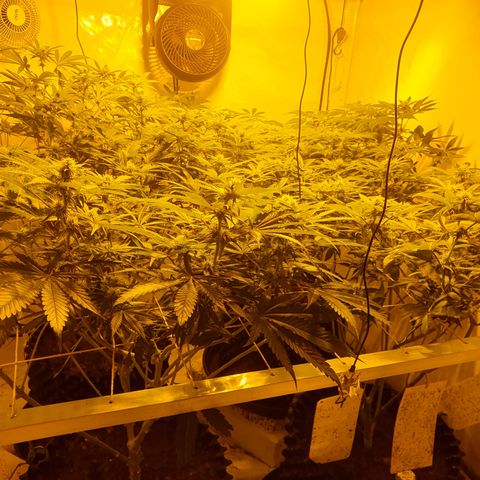 Rainbow road  growlog timeline photo
