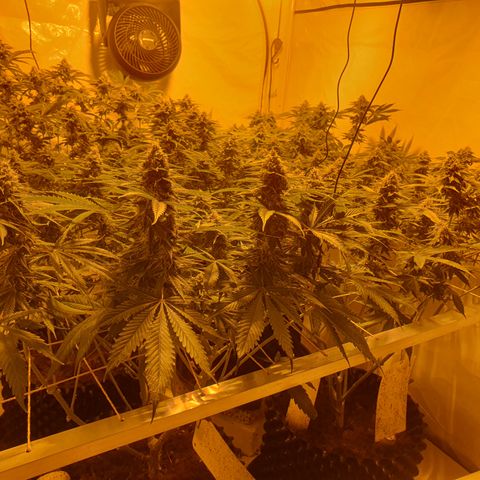 Rainbow road  growlog timeline photo