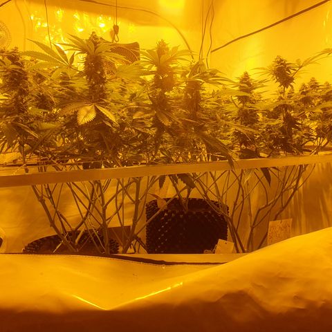 Rainbow road  growlog timeline photo