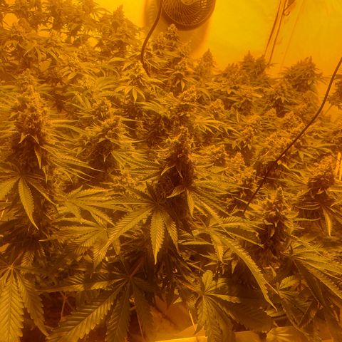 Rainbow road  growlog timeline photo