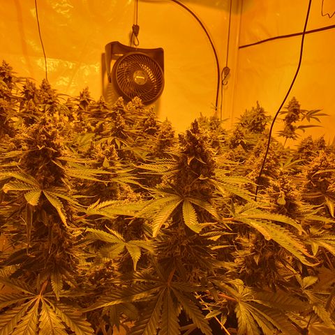 Rainbow road  growlog timeline photo