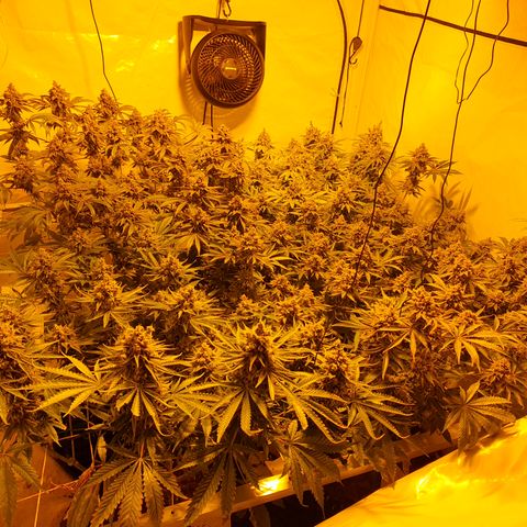 Rainbow road  growlog timeline photo