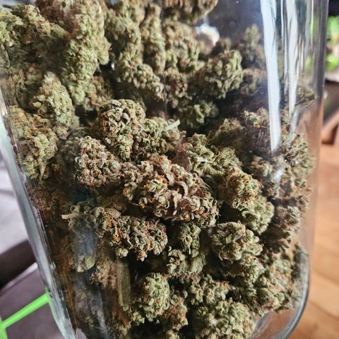 Sour zkittles  #1 growlog timeline photo