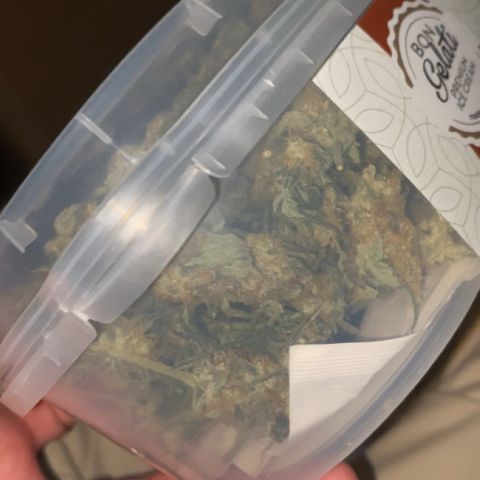 Gorilla Cookies FF growlog photo: 80G+ AFTER DRYING. NOW CURING
