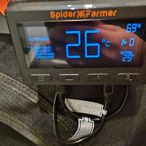 Fat Banana Auto #1 growlog timeline photo