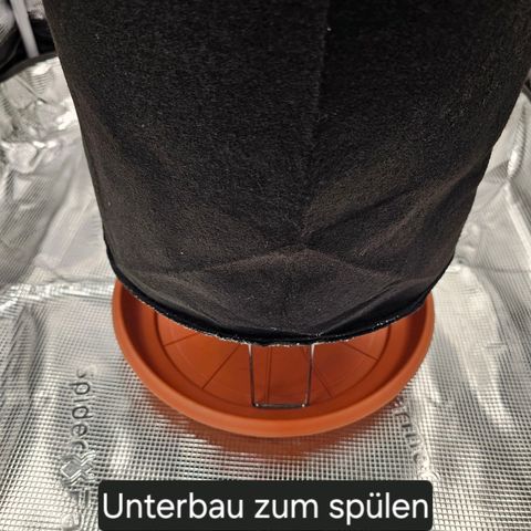 Fat Banana Auto #1 growlog photo: Perfekter Unterbau extra zum spülen

Nach dem spülen "braunes" Wasser welches unten aus der Pflanze gelaufen ist. - Gutes Zeichen