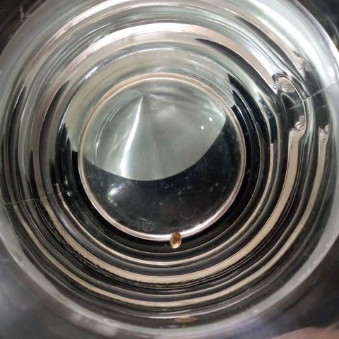 Don Diego - Chalupa growlog photo: Pasada 24 horas la semilla descendió en el agua pero se espera que se cumpla 48 para poder pasar a un papel húmedo para ver su radicula 
Se observó burbujas alrededor de la semilla 