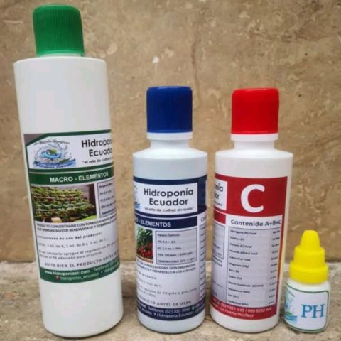 Don Diego - Chalupa growlog photo: Se utilizarán sustancias de macro y micro  elementos de A, B, C  con medidor de ph 

Se nota que la radicula está en 3 cm 
En hidroponía
Con agua hervida 
A temperatura ambiente 
Color verde claro de la plántula 

