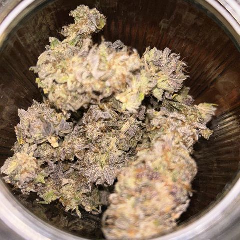 Royal Runtz growlog timeline photo