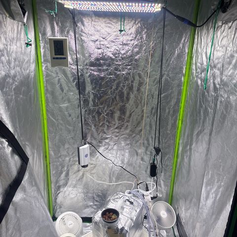West Coast O.G. Auto growlog timeline photo