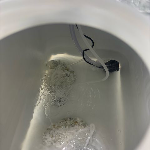 West Coast O.G. Auto growlog timeline photo