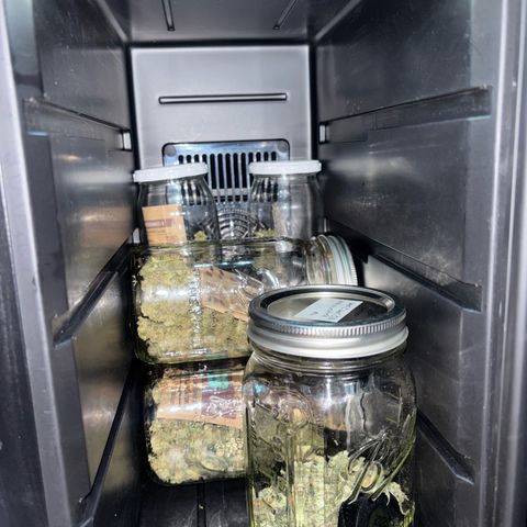 West Coast O.G. Auto growlog photo: Sugar leaves with relatively high cannabinoid content generated during trimming. Drying was completed in 2 days, and curing has now begun. The ones in the back are a different strain.