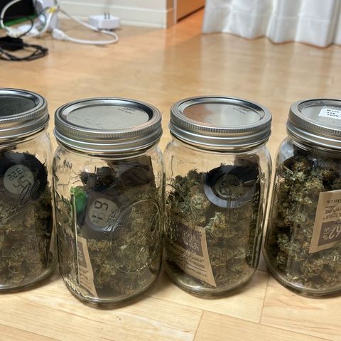 West Coast O.G. Auto growlog timeline photo