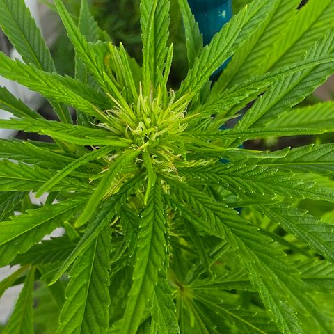 Jay growlog timeline photo
