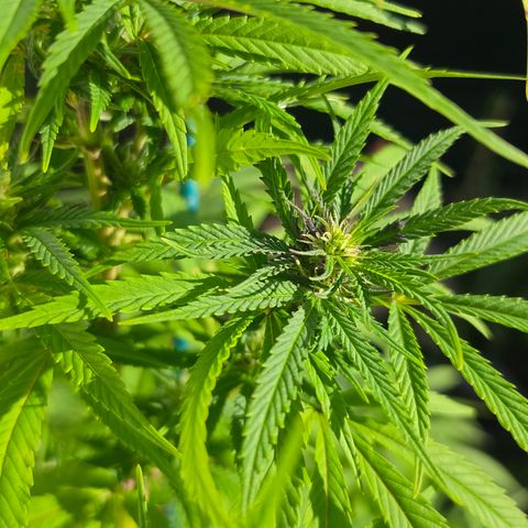 Jay growlog timeline photo