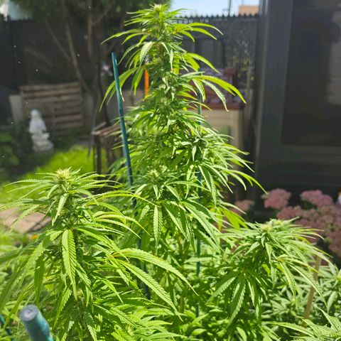 Jay growlog timeline photo