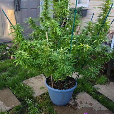 Jay growlog timeline photo