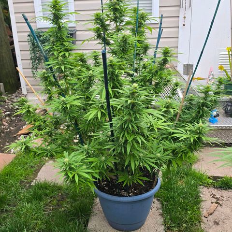 Jay growlog timeline photo
