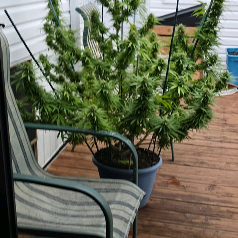 Jay growlog timeline photo