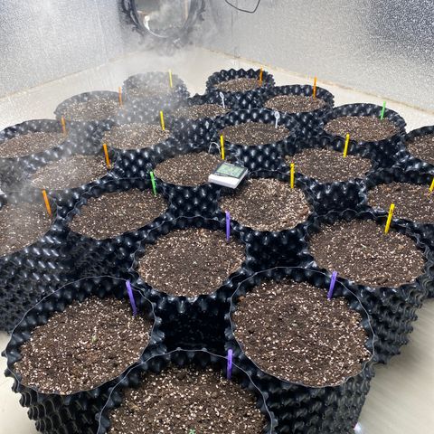 #21 growlog timeline photo