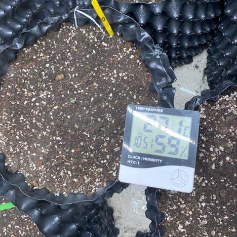 #21 growlog timeline photo
