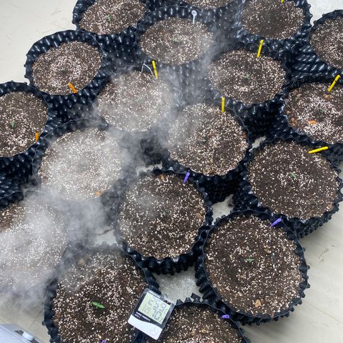 #21 growlog timeline photo