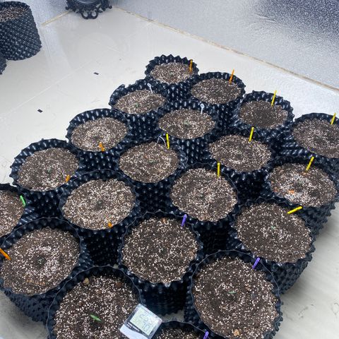 #21 growlog timeline photo