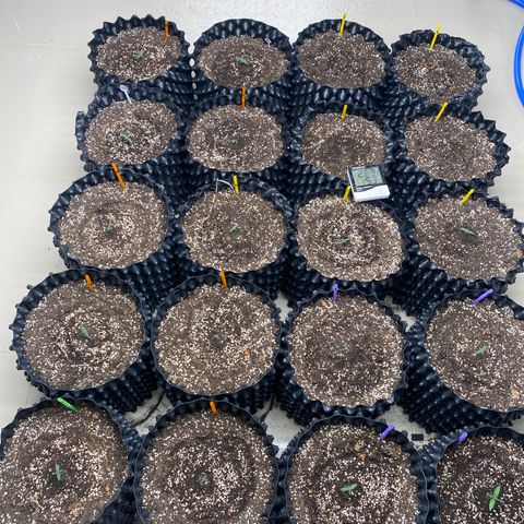 #21 growlog timeline photo