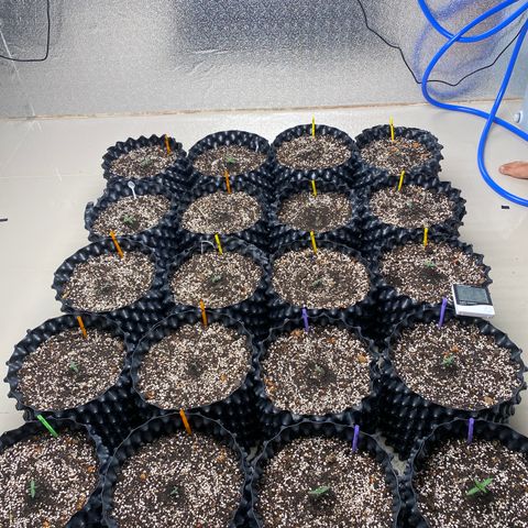 #21 growlog timeline photo
