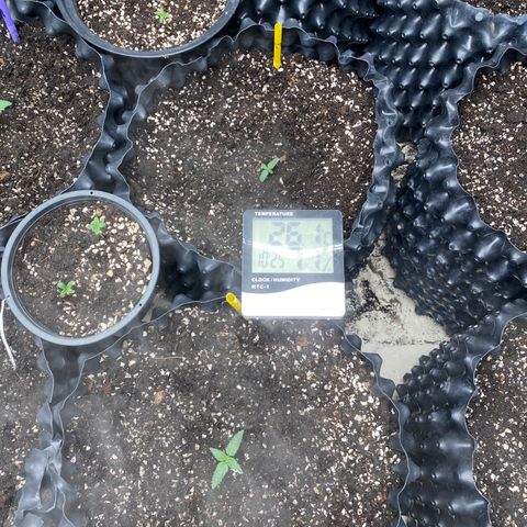#21 growlog timeline photo