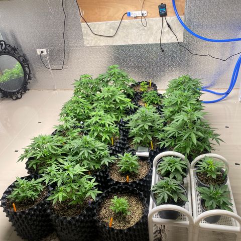#21 growlog timeline photo